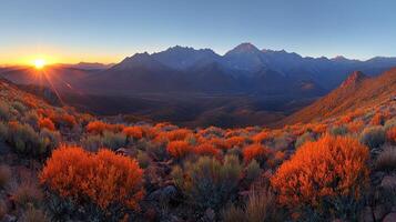 A beautiful view of a mountain range with orange trees photo