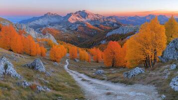 A dirt path leads to a mountain range with orange trees photo