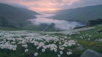 A field of flowers photo