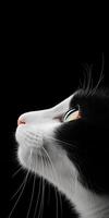 Black and White Cat Profile with Reflective Eyes on Dark Background for Mobile Wallpaper photo