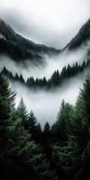 Serene misty forest with pine trees and mountain peaks shrouded in fog for mobile wallpaper photo