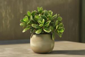 Jade plant in a textured ceramic pot placed on a wooden surface with soft natural lighting photo