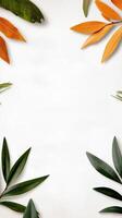 Minimalistic leaf border with green and orange foliage on a white background for creative design photo