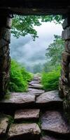 Mystical Fog Drifting Through an Ancient Forest Pathway photo