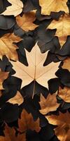 Elegant Golden Maple Leaves with Black Background, Perfect for Seasonal or Autumn Wallpaper photo