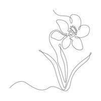Continuous one line drawing of daffodil flower vector