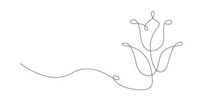 Continuous one line art drawing of beauty tulips flower 3 vector