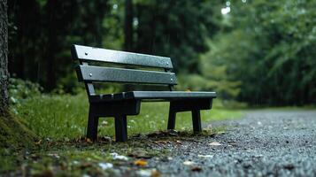 Empty Park Bench in Rainy Forest Setting, Tranquil Scene Ideal for Melancholic or Reflective Themes photo