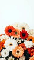 Vibrant Gerbera Daisies in Orange, Red, and White, Fresh Floral Arrangement, Minimalist Background photo