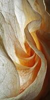 Macro Close-Up of Dried Rose Petals with Textured Details, Perfect for Nature, Floral Art, or Botanical Photography Projects photo