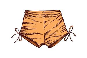 Hand drawn colored sketch of tied beach shorts in vintage style vector