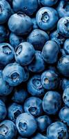 Fresh Blueberries with Vibrant Texture Digital Illustration for Mobile Wallpaper photo