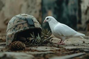 A white dove sits next to a military helmet photo