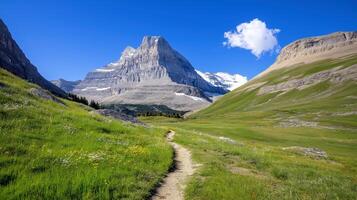 A trail leads to a mountain range with grass and flowers photo