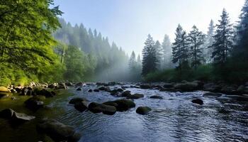 A river surrounded by trees and rocks photo