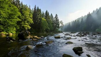 A river in the forest with rocks and trees photo