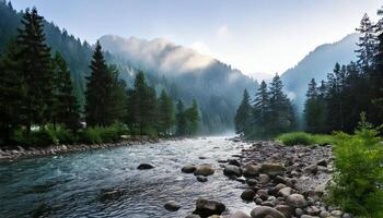 A river runs through a forest with rocks and trees photo