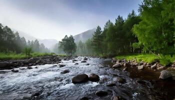 A river runs through a forest with rocks and trees photo