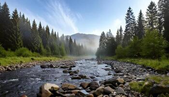 A river runs through a forest with rocks and trees photo