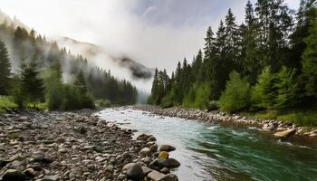 A river runs through a forest with rocks and trees photo