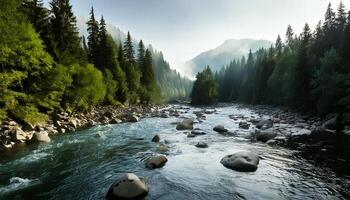 A river in the middle of a forest with rocks photo