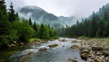 A river runs through a forest with rocks and trees photo