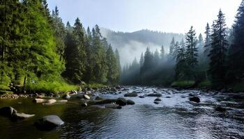 A river in the forest with rocks and trees photo