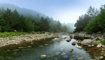 Forest and the river foggy photo