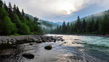 A river in the mountains with rocks and trees photo