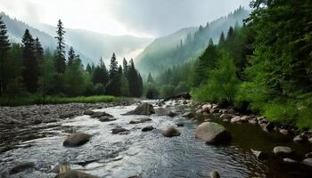 A river runs through a forest with rocks and trees photo