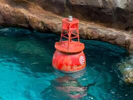 sea floating signal, such as a buoy, bobbing gently on the water's surface, for maritime safety photo