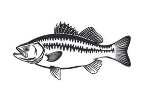 Monochrome drawing of a fish with detailed anatomical vector