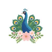 Peacock with Flower Arrangement vector