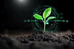 A sprouting plant symbolizes growth and technology in a digital context. photo