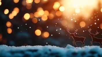 Two reindeer are standing in the snow with lights in the background photo