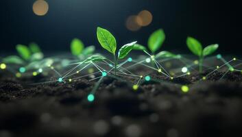 Sprouting plants with digital connections symbolizing growth and innovation. photo