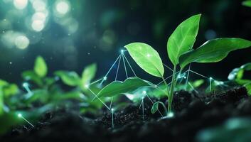 Lush green plants emerging from soil with a digital network overlay. photo