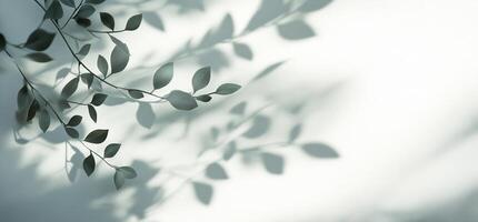 A serene image of leaves casting shadows on a light background. photo