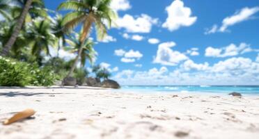 A serene beach scene with palm trees and a clear blue sky. photo