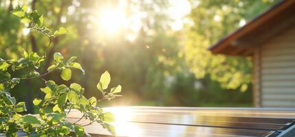 Sunlight glimmers on a surface with greenery and a house in the background. photo