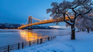 Illuminated Suspension Bridge Winter Scene Snowy Park Frozen River photo
