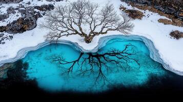 Aerial View of Frozen Lake with Tree Reflection in Turquoise Water Winter Landscape photo