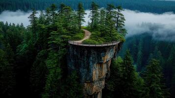 Majestic Clifftop Pathway Overlooking Misty Evergreen Forest Landscape photo