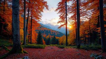 Majestic Autumn Sunset in Mountain Forest Vibrant Fall Foliage Red and Gold Trees Scenic Landscape photo