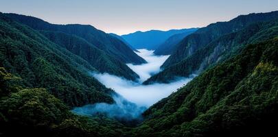 Serene Mountain Valley Landscape Misty Dawn Over Lush Green Hills photo