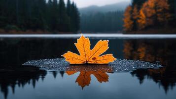 Serene Autumn Scene Single Maple Leaf on Frozen Lake with Forest Reflection photo