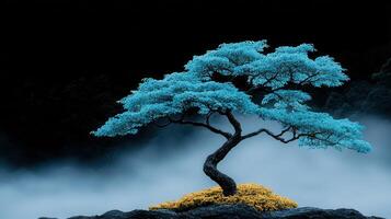 Serene Blue Tree in Misty Landscape Tranquil Nature Scene Artistic Photography photo