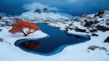 Stunning Winter Landscape Solitary Red Tree by Frozen Lake and Snow Covered Mountains photo