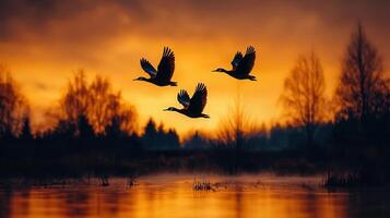 Three Ducks in Flight at Sunset Over a Serene Lake Landscape photo
