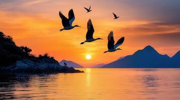 Majestic Birds in Flight at Sunset over Serene Coastal Mountains photo